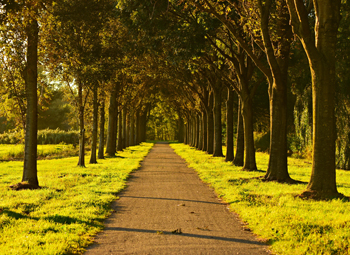 Nightingale Asset Management Our Greatest Competitive Advantage