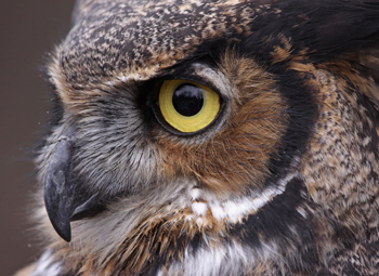 Nightingale Asset Management Our Approach